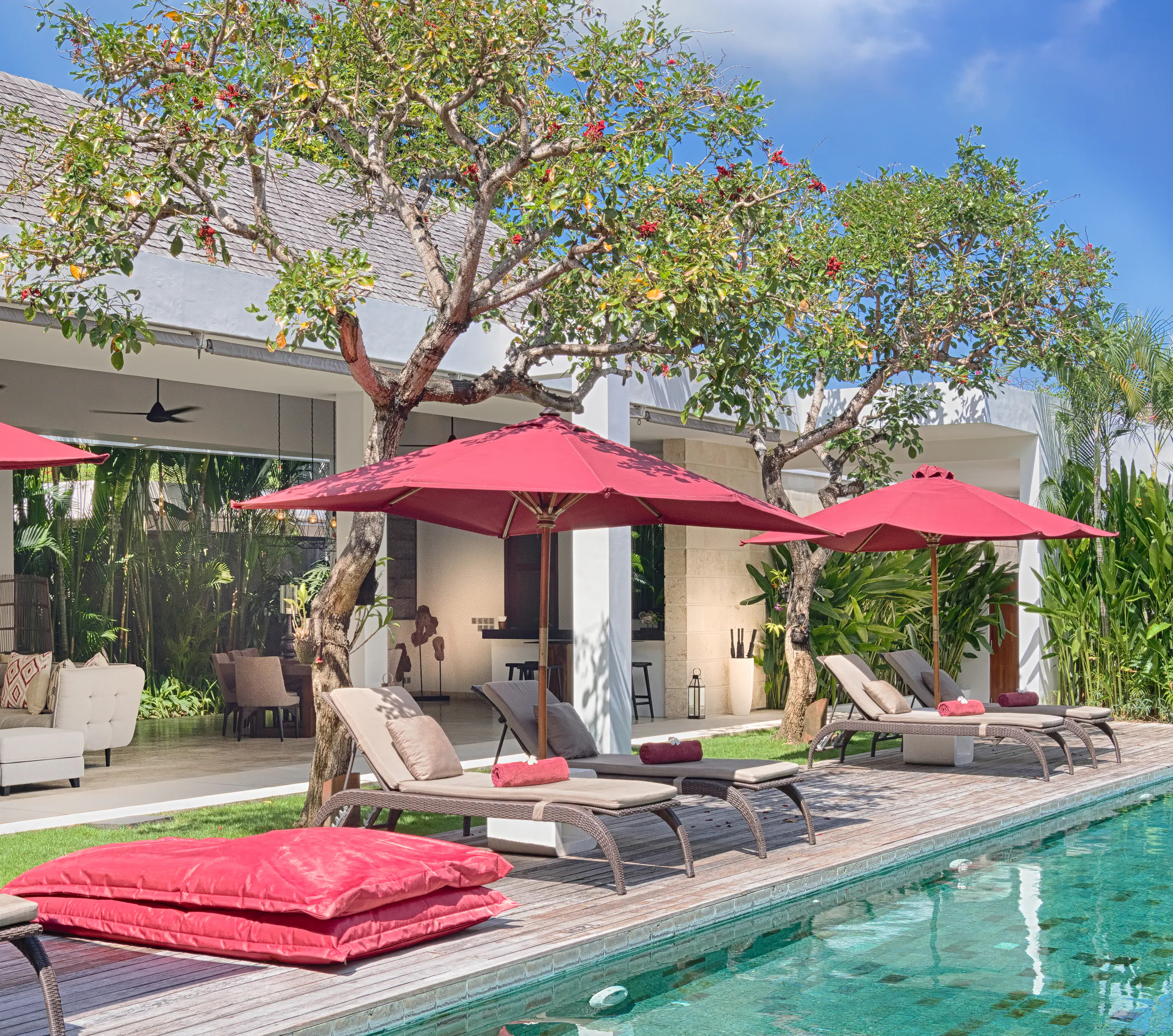 Sun loungers and claret parasols under the frangipani on the ironwood deck at Casa Brio