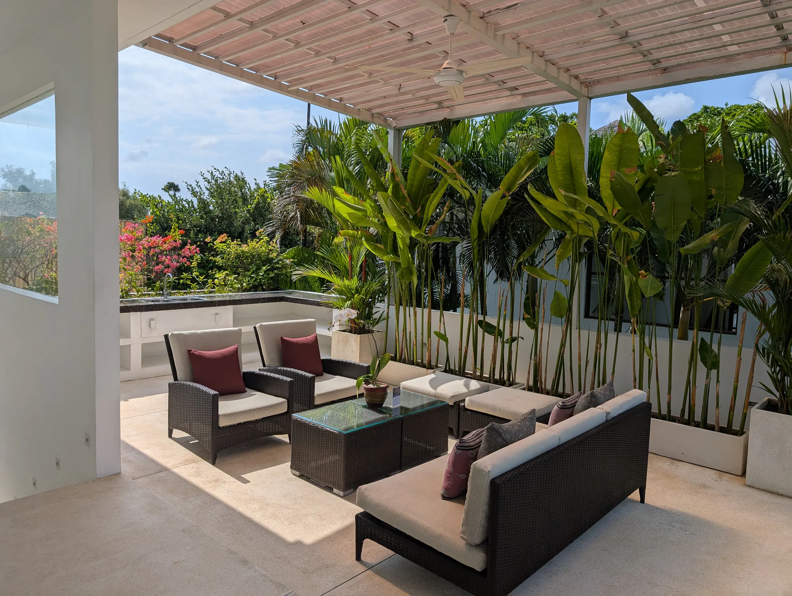 The rooftop terrace at Casa Brio, all-weather rattan seating under a pergola behind a screen of travellers’ palms
